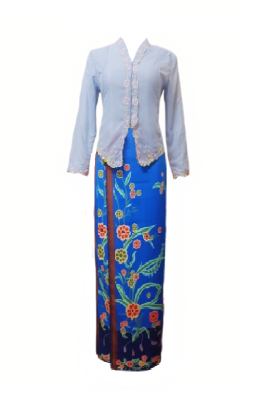 Blue Fitted Embroidered Top and Skirt Set