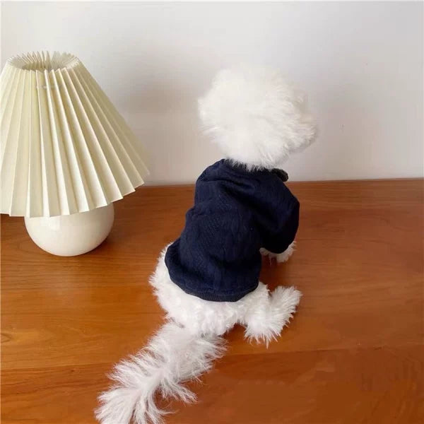 British Gentleman Tie Pet Outfit for Small Dogs