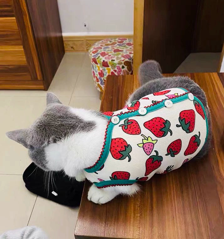 Velvet Strawberry Warm Pet Vest for Cats and Small Dogs