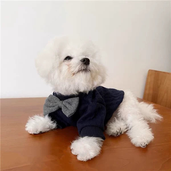 British Gentleman Tie Pet Outfit for Small Dogs
