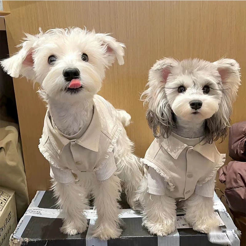 Off-White Denim Pet Jacket and Matching Vest Summer Set