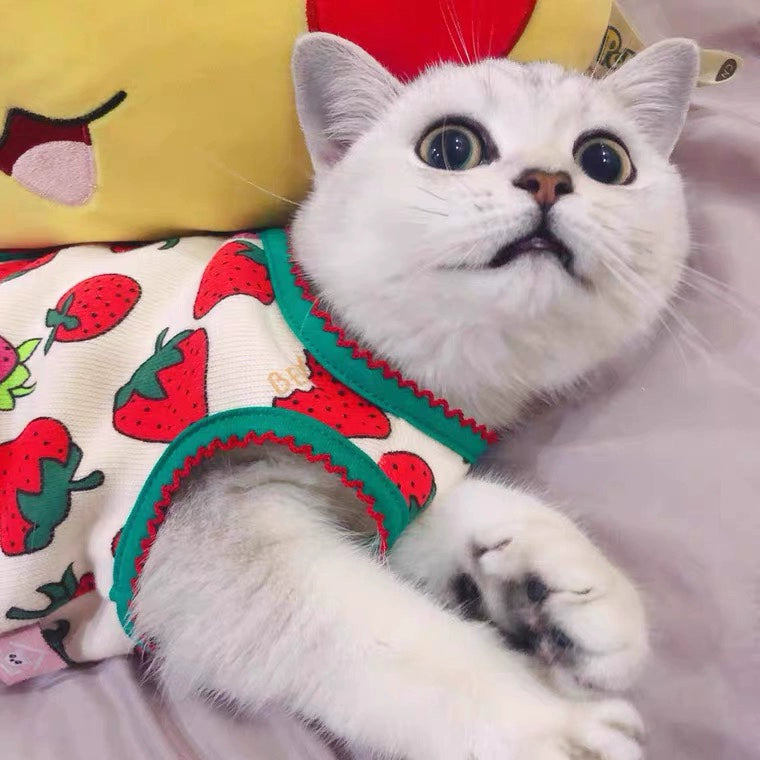 Velvet Strawberry Warm Pet Vest for Cats and Small Dogs