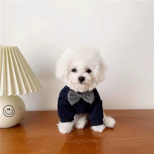 British Gentleman Tie Pet Outfit for Small Dogs