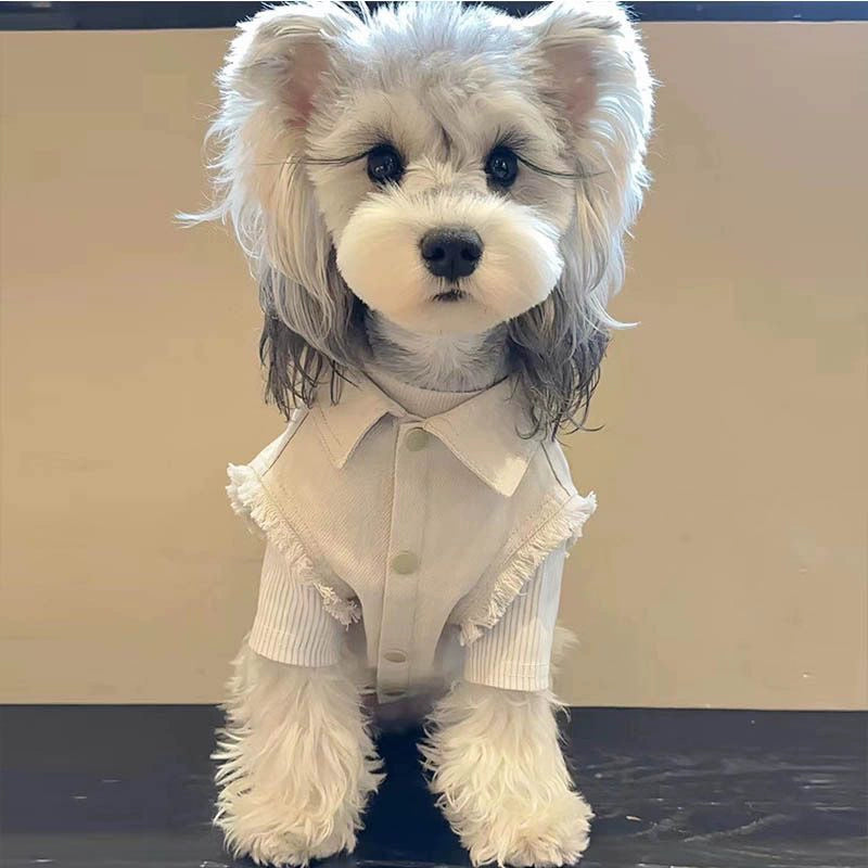Off-White Denim Pet Jacket and Matching Vest Summer Set