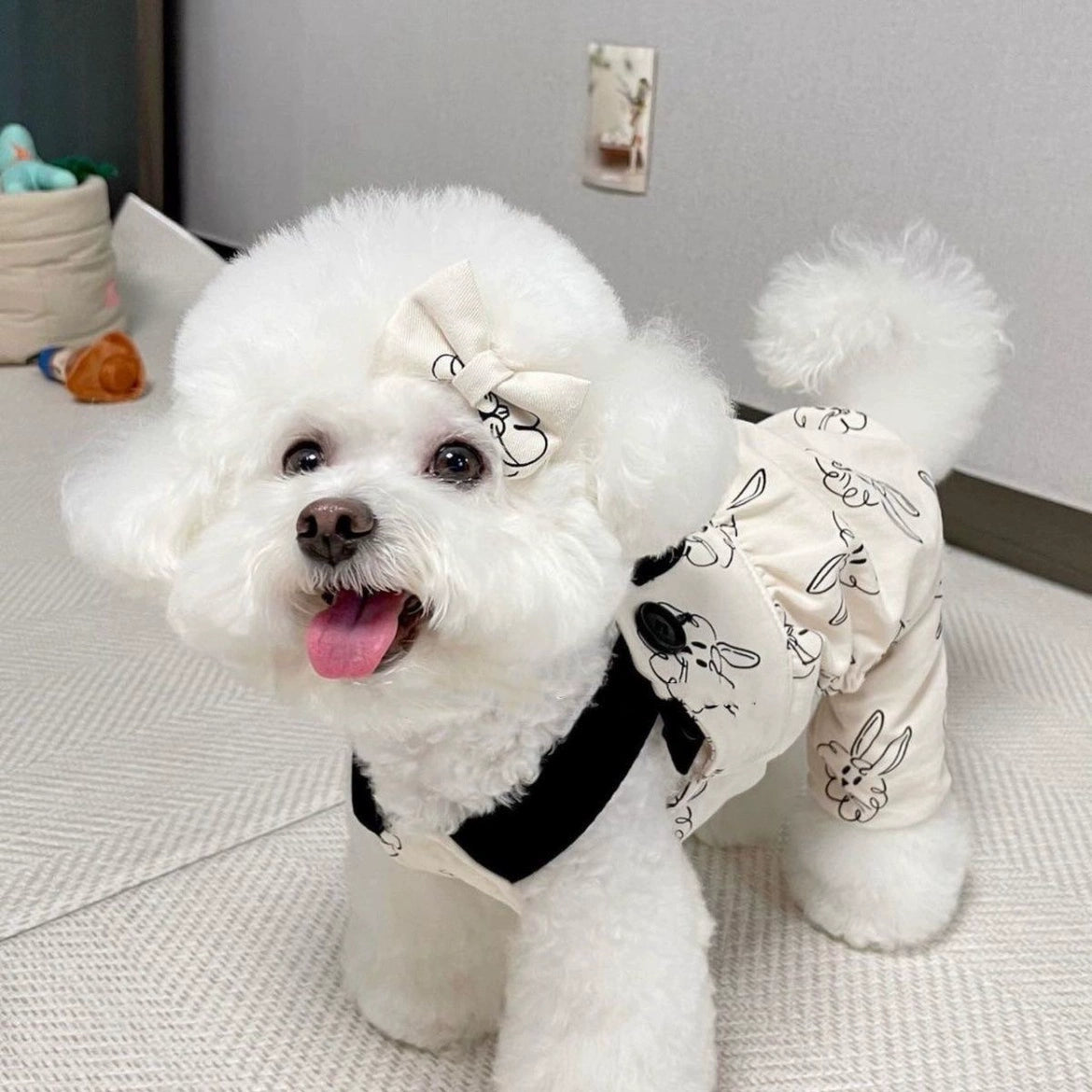 Premium Cotton Pet Work Suit for Maltese & Yorkshire Dogs