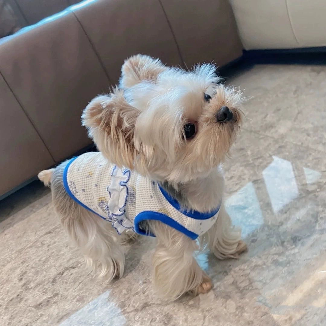 Premium Cotton Pet Dog Vest for Spring Autumn Casual Style