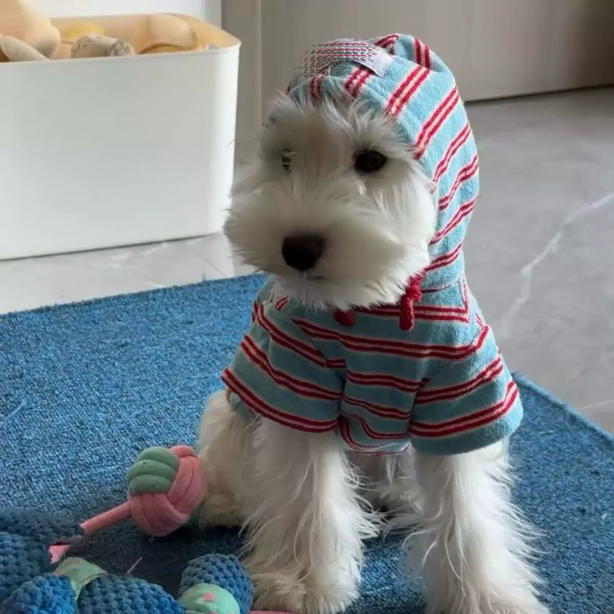 Blue Stripe Hooded Dog Sweatshirt for Small Breeds