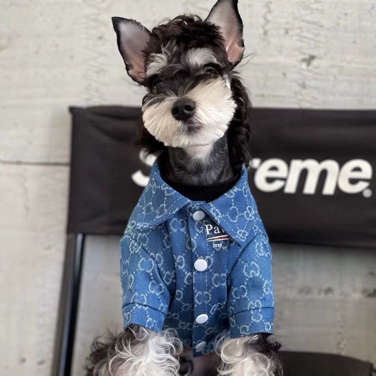 Pet Fashionable Spring Autumn Dog Shirt Blue Black Cute Dress