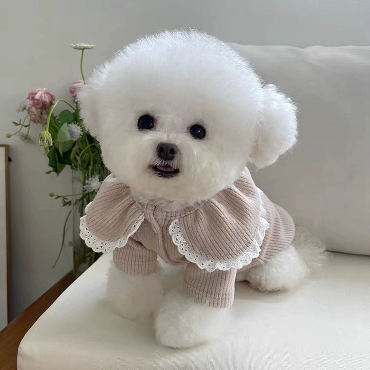 Pet Lace Cardigan Sweater Warm for Small Dogs Autumn