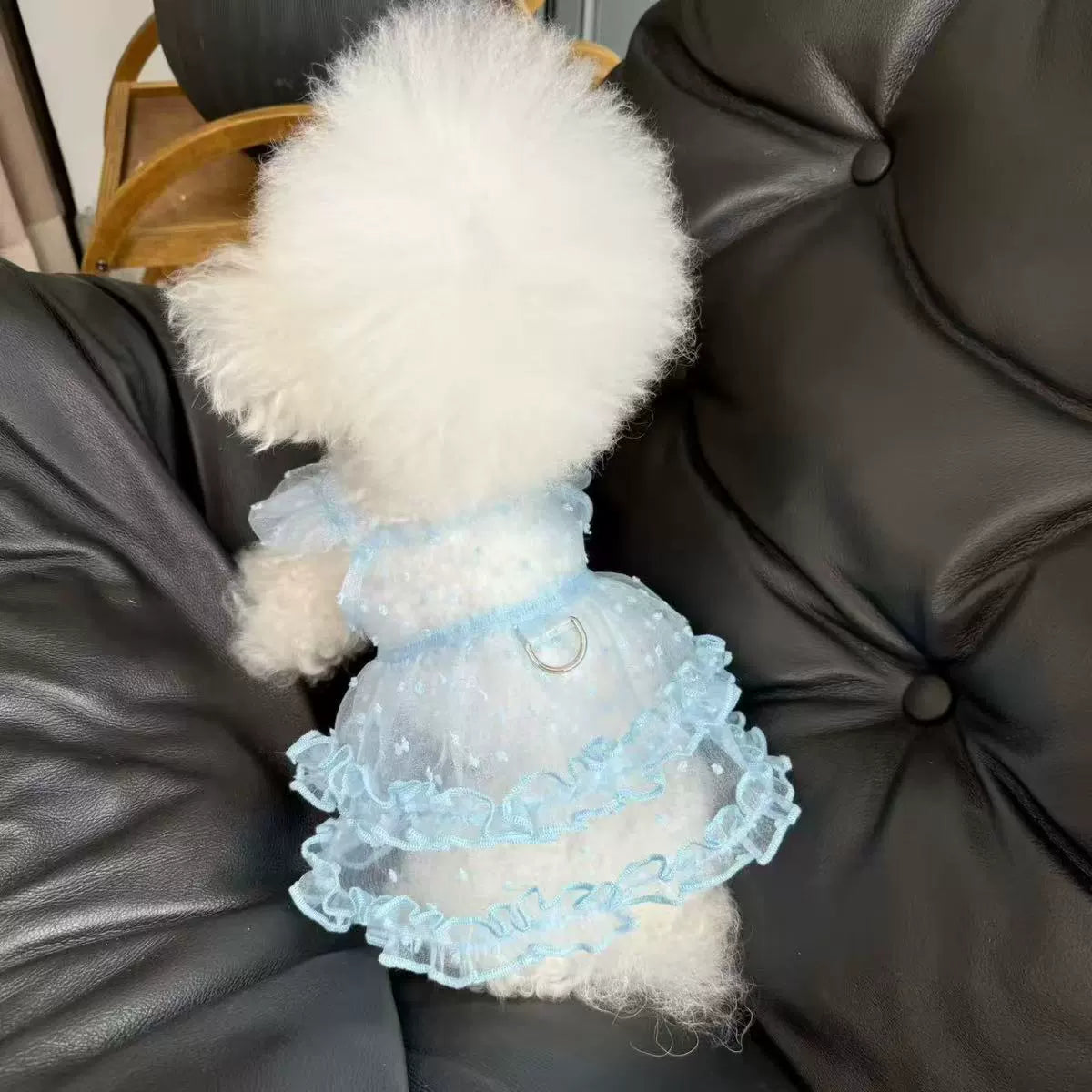Fluffy Starry Sky Small Dog Jumpsuit Summer Teddy Dress