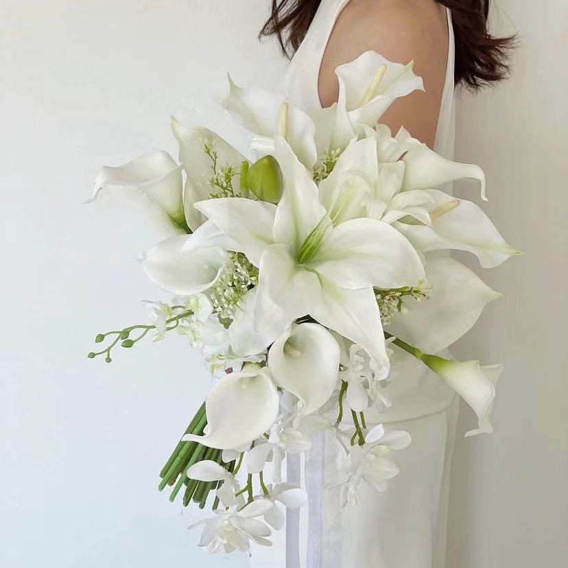 http://img.alicdn.com/imgextra/i4/4203440022/O1CN01iAkCKD1C27VM8mBoq_!!4203440022.jpg