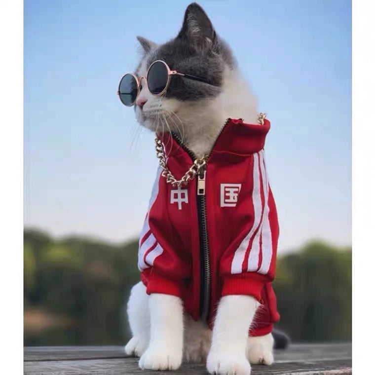 Blue Velvet Pet Clothing – Spring Autumn Coat for Small Dogs