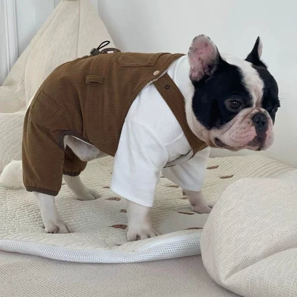 Tide Matching Couple Dog Overalls & Dress – Stylish Outfit