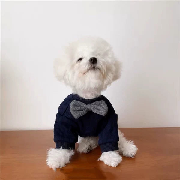 British Gentleman Tie Pet Outfit for Small Dogs