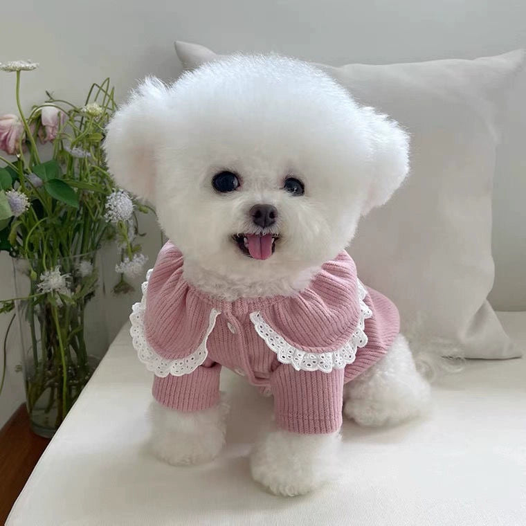 Pet Lace Cardigan Sweater Warm for Small Dogs Autumn