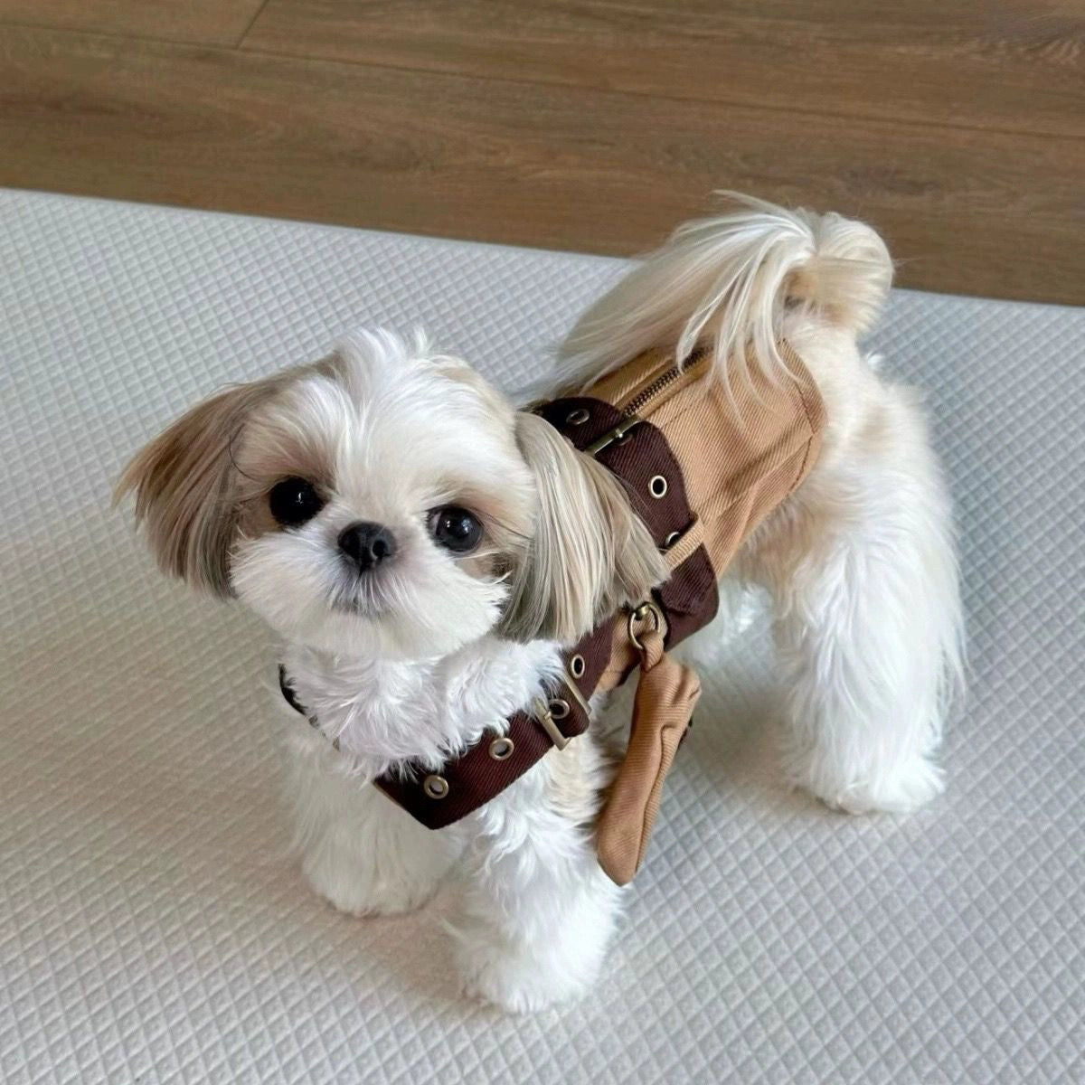Autumn Leaf Vest for Small & Medium Dogs – Stylish Pet Clothing