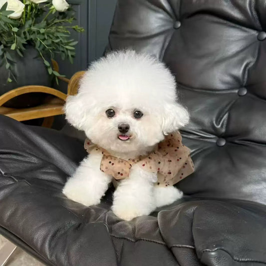 Summer Polka Dot Pleated Gauze Skirt for Small Pets