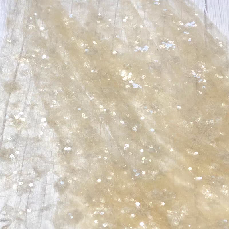 Sequin embroidery lace mesh fabric shiny transparent sheet lace fabric clothing dress dress fabric