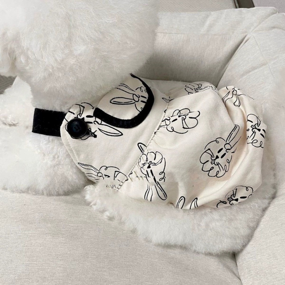 Premium Cotton Pet Work Suit for Maltese & Yorkshire Dogs