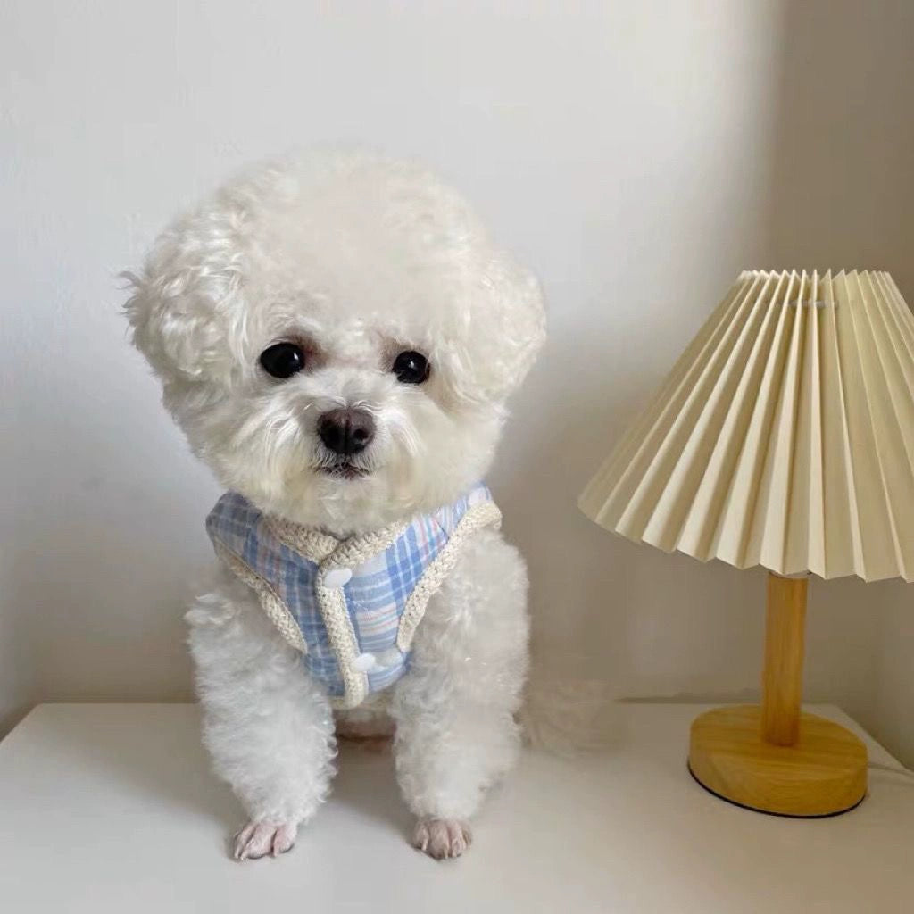Korean Warm Down Pet Jacket with Pull?On Harness