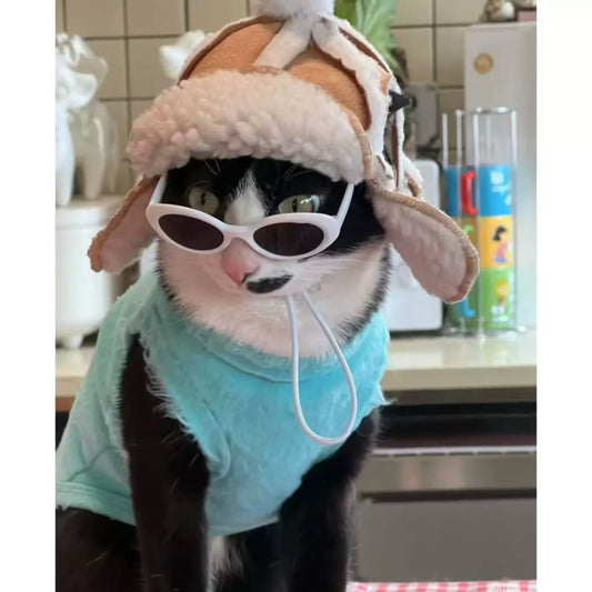 Cozy Velvet Airplane Hat Stylish for Small Dogs