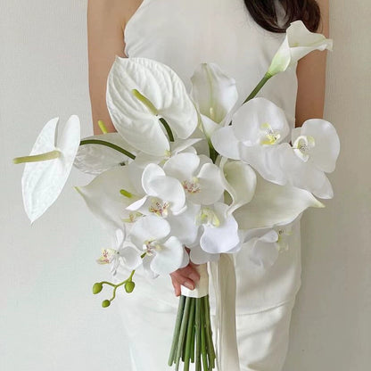 http://img.alicdn.com/imgextra/i1/4203440022/O1CN019m814R1C27VU5uhBL_!!4203440022.jpg