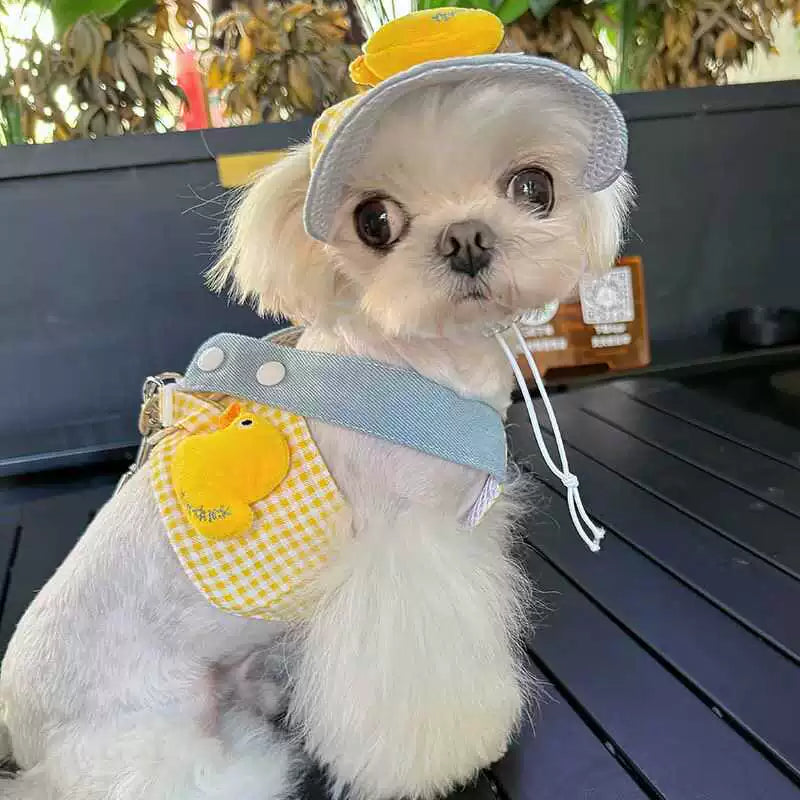 Vest-Style Dog Leash for Small Breeds Teddy Bichon Pomeranian