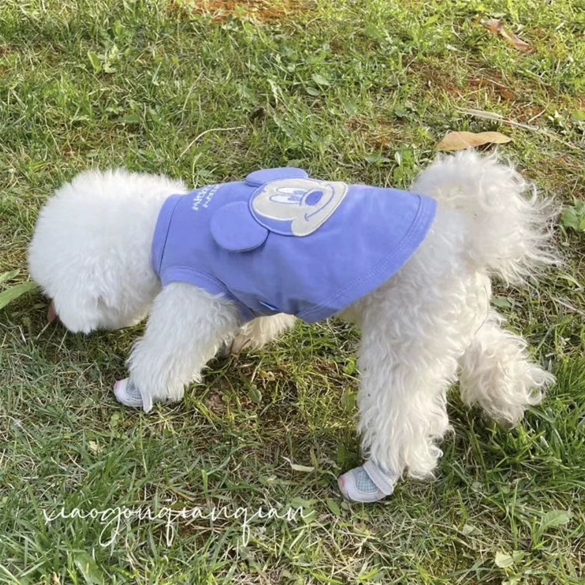Cute Anti-Fall Sleeveless Pet Vest for Cats and Dogs