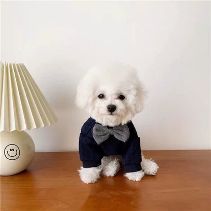 British Gentleman Tie Pet Outfit for Small Dogs