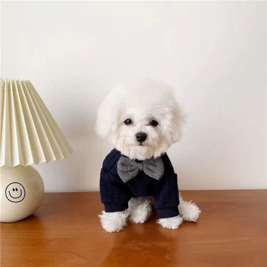British Gentleman Tie Pet Outfit for Small Dogs