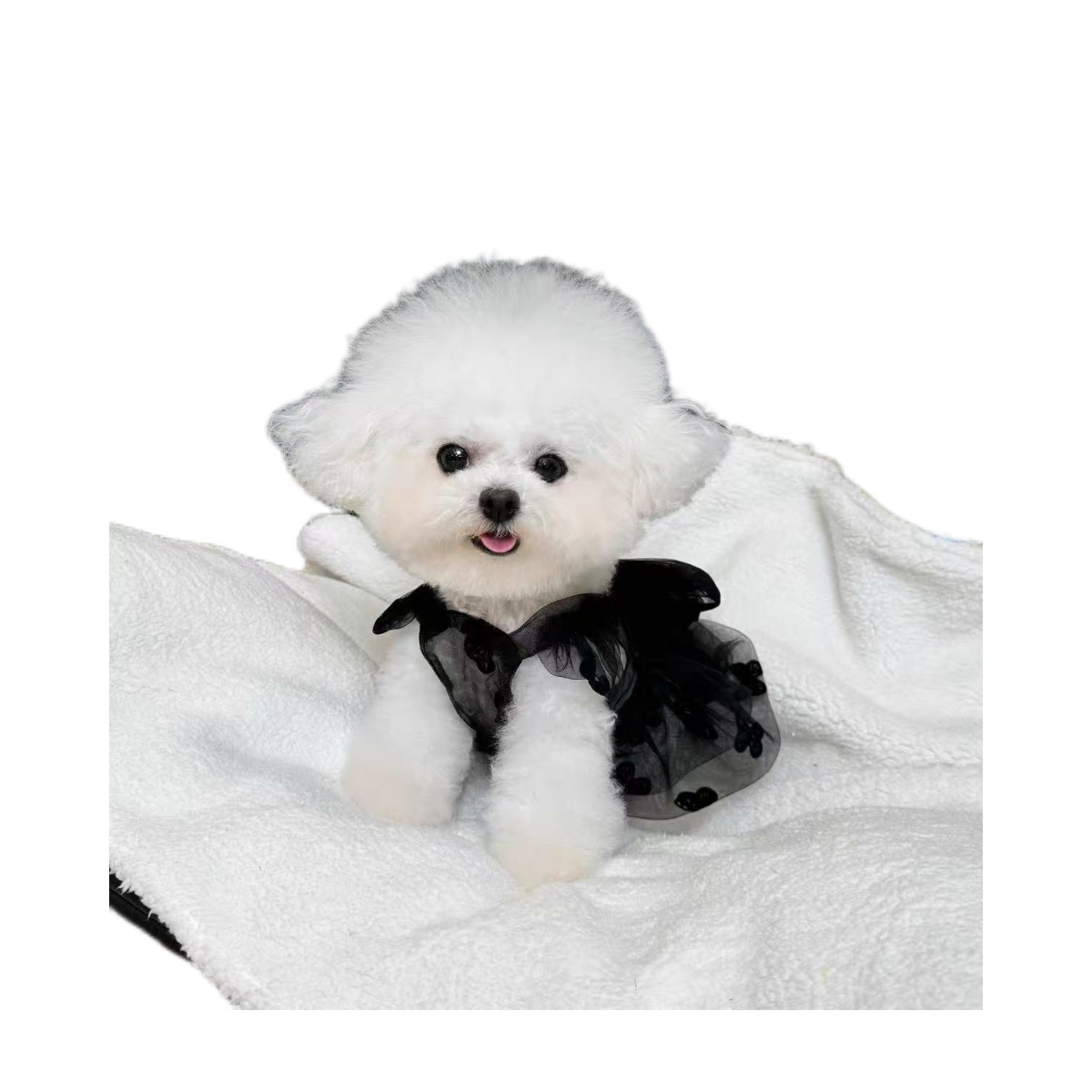 Cute Lace Sleeveless Pet Dress for Small Dogs & Cats