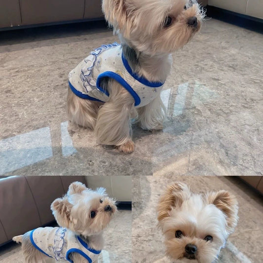Premium Cotton Pet Dog Vest for Spring Autumn Casual Style