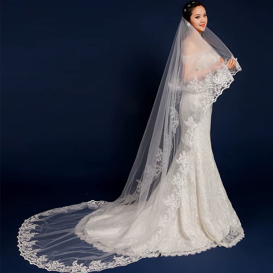 Silhouette Braid Wedding Veil Accessory