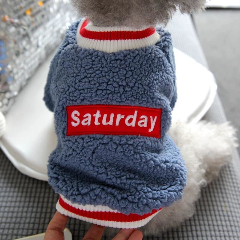 Pet Barrine Celery Sherry Small Dog Sweater Autumn Winter