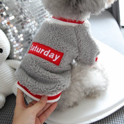Pet Barrine Celery Sherry Small Dog Sweater Autumn Winter