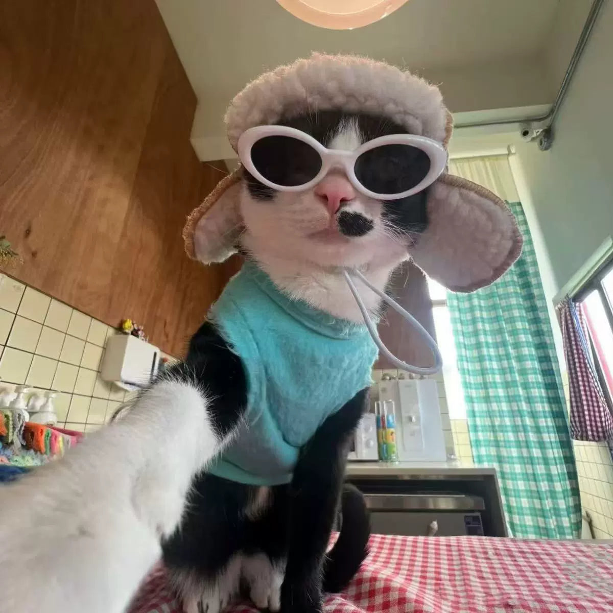 Cozy Velvet Airplane Hat Stylish for Small Dogs