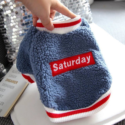 Pet Barrine Celery Sherry Small Dog Sweater Autumn Winter
