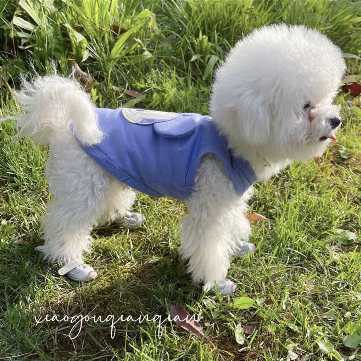 Cute Anti-Fall Sleeveless Pet Vest for Cats and Dogs