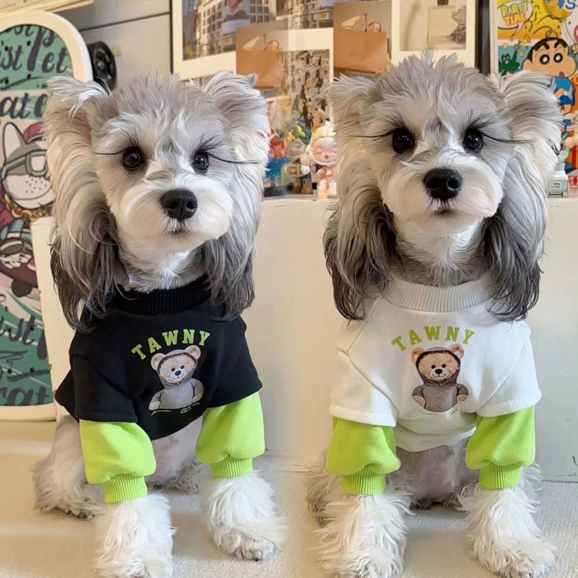 Cozy Bear Hooded Velvet Pet Coat for Small Dogs Cats