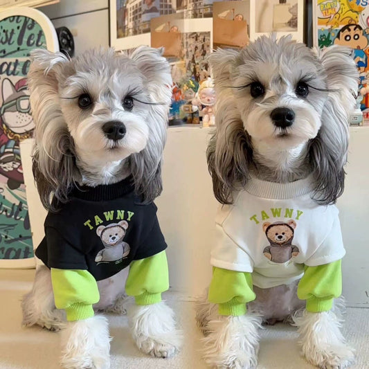 Cozy Bear Hooded Velvet Pet Coat for Small Dogs Cats