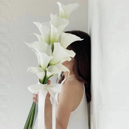 http://img.alicdn.com/imgextra/i2/4203440022/O1CN01TJ2Jph1C27WkFnWXJ_!!4203440022.jpg