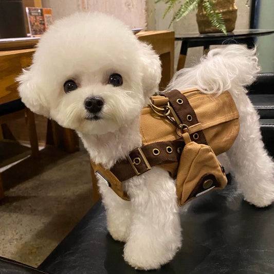 Autumn Leaf Vest for Small & Medium Dogs – Stylish Pet Clothing