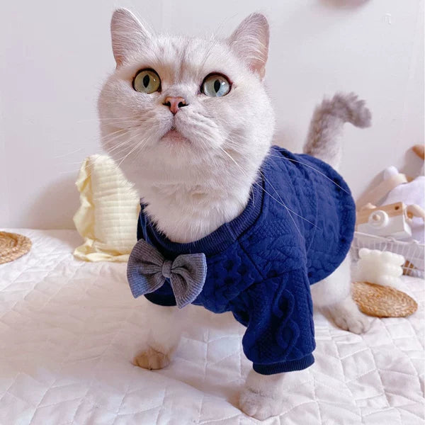 Cute Net Red Pet Clothing for Cats and Small Dogs