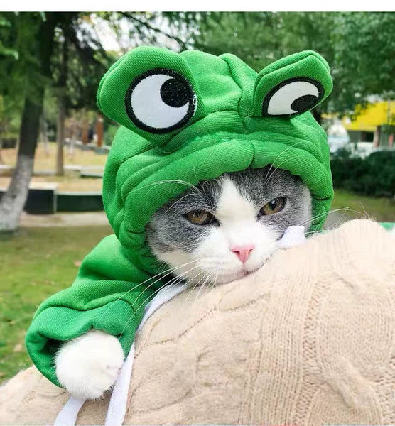 Cute Frog-Pattern Cat Sweater – Warm Winter Pet Clothing