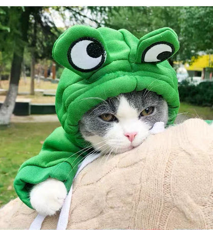 Cute Frog-Pattern Cat Sweater – Warm Winter Pet Clothing