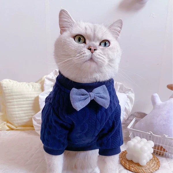 Cute Net Red Pet Clothing for Cats and Small Dogs