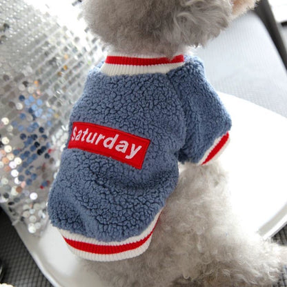 Pet Barrine Celery Sherry Small Dog Sweater Autumn Winter