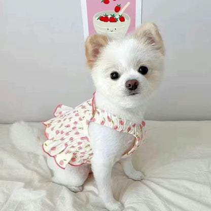 https://gd3.alicdn.com/imgextra/i2/2959693105/O1CN01c65u4l1Yo8bpYN1HC_!!2959693105.jpg
