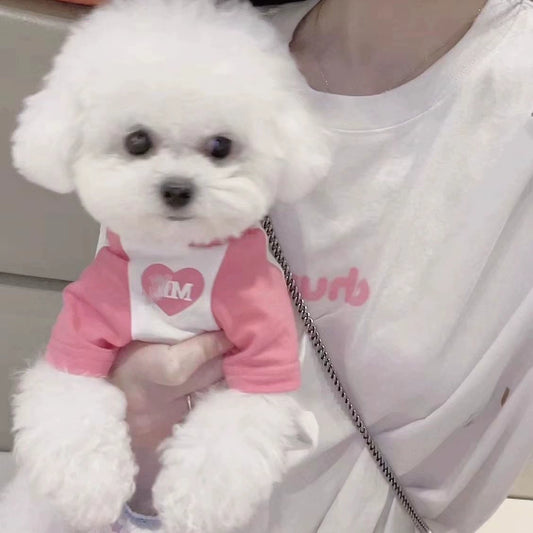 Fuchsia Teddy Dog Sweater for Small Pomeranian & Schnauzer