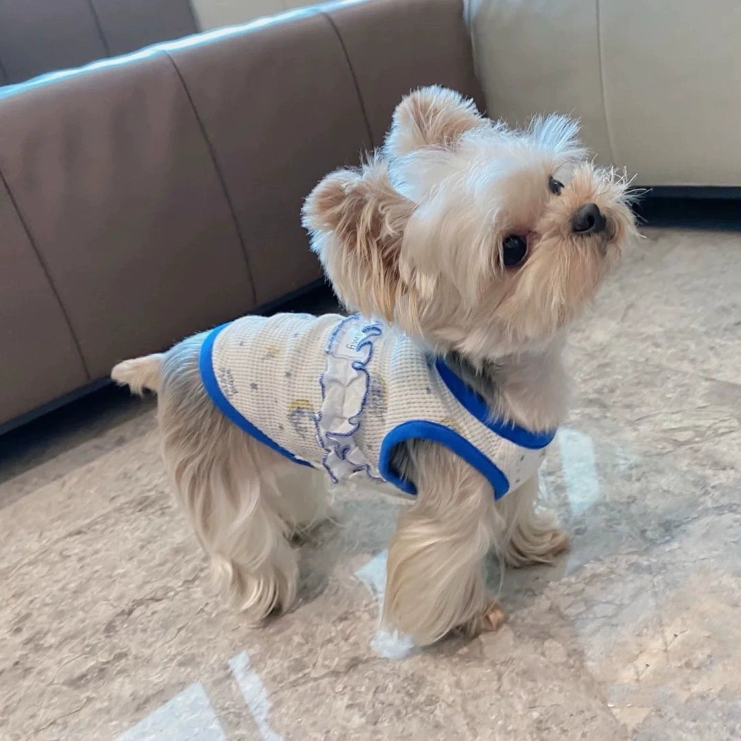 Premium Cotton Pet Dog Vest for Spring Autumn Casual Style